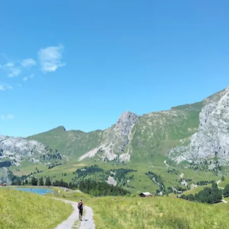 Bel Alp 1 Le Grand-Bornand